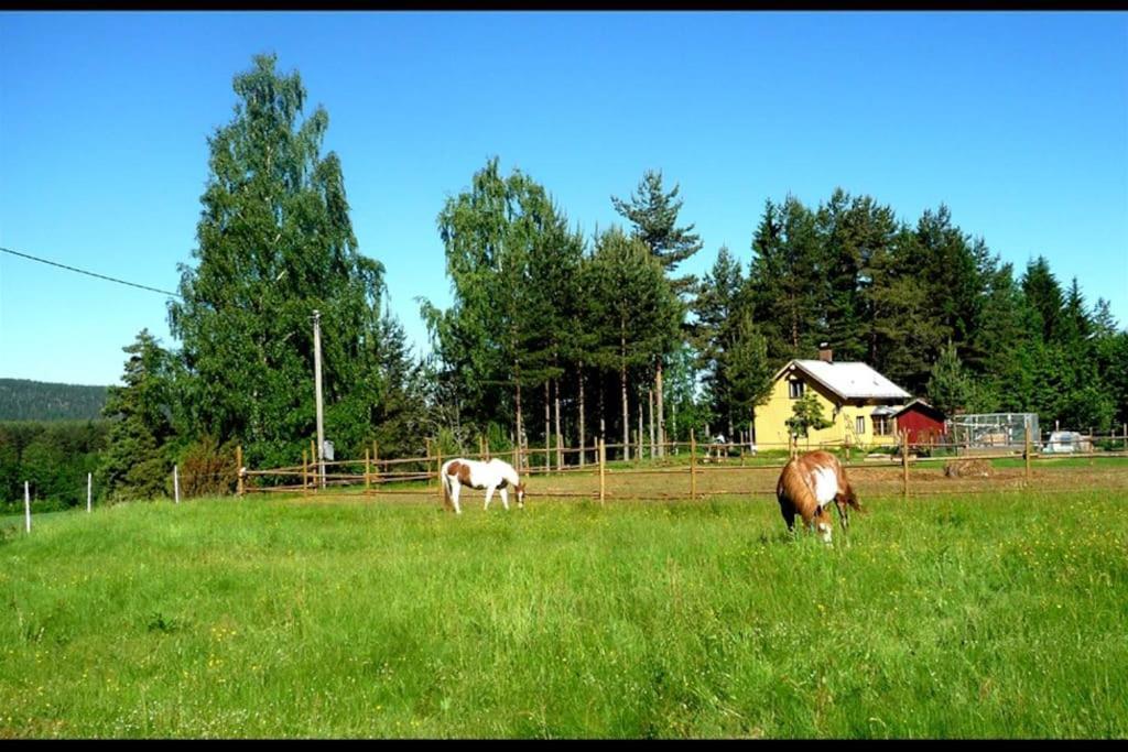 Little Forest House "Our Little Farm" Eksharad Экстерьер фото